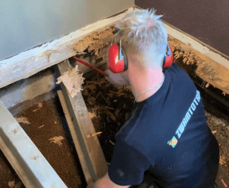 kelderzwam bestrijden